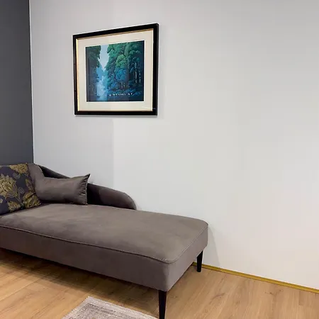 شقة Zeromskiego Centrum I 15 Minut Plaza - Comfy