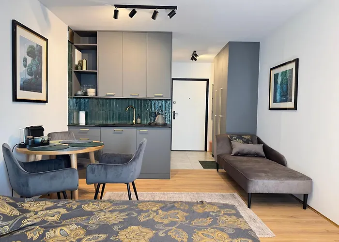 Zeromskiego Centrum I 15 Minut Plaza - Comfy *